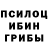 Псилоцибиновые грибы Cubensis Khusrav Narziev