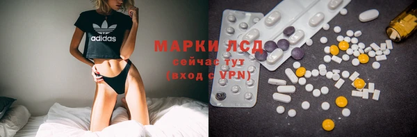амф Бородино