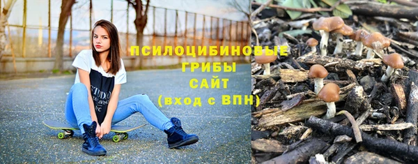 прущие крисы Бронницы