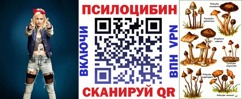 сайты даркнета как зайти  Новосокольники  Галлюциногенные грибы Psilocybe 